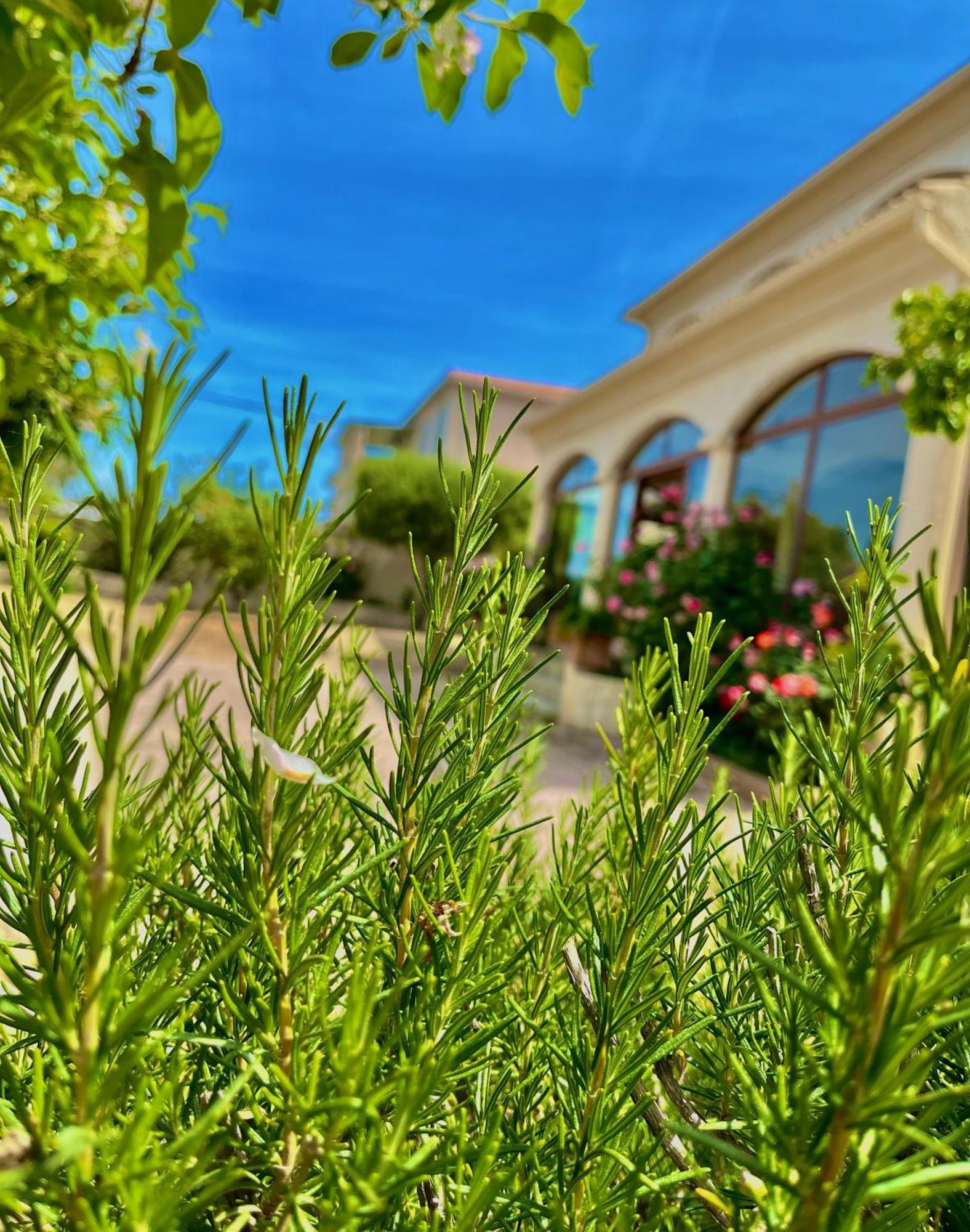 גלריה Residence U Filipaghju מראה חיצוני תמונה